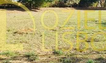 Imagem 4: VENDO CHÁCARA 20.000m² INCRA 09 COM PISCINA CHURRASQUEIRA 2 CASAS GRANDES NA LAJE 500m DO