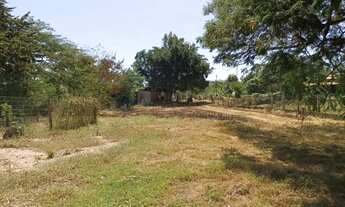 Imagem 5: Chácara pesqueira medindo 160 x 30 (4.800 M²), nas margens do rio CuiabáMT