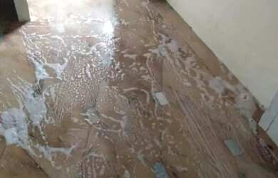 Imagem 6: CASA TÉRREA - PERDIZES - SP