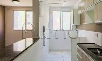 Imagem 4: Apartamento para alugar em Campinas, Jardim Nova Europa, com 3 quartos, com 60 m²