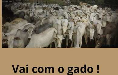 Imagem 5: Negócio de Ocasião! Dobre o capital em 5 anos