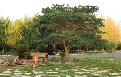 Imagem 5: Área em Terezópolis de Goiás