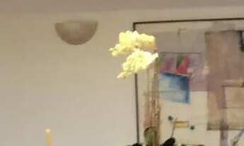 Imagem 6: Apartamento para aluguel possui 374 metros quadrados com 3 quartos em Lagoa - Rio de Janei