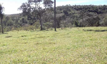 Imagem 6: Linda fazenda sem sede, de 82 hectares, * WhtsApp Guilherme
