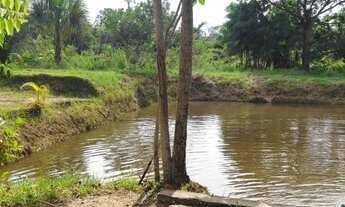 Imagem: Terra de 5 alqueires toda aberta! 30 km