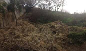 Imagem 2: Loteamento-São Paulo-HORTO