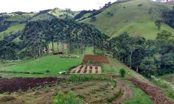 Imagem 4: Chácara contendo 02 hectares em Delfim Moreira- Sul de Minas Gerais