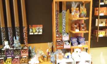 Imagem 6: Repasse de loja completa da Brasil Cacau - Shopping Via Catarina - Palhoça