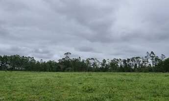Imagem 3: Sítio 12 hectares em Águas claras, Viamão com duas casas, galpão e açude