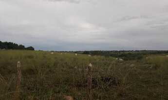 Imagem 3: Fazenda com 50 hectares estruturada na região de Monte Alegre