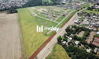 Imagem 3: Terreno para Venda em Cascavel, Brazmadeira
