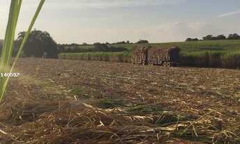 Imagem 5: Fazenda de 62 Alqueires em Porto Feliz - SP