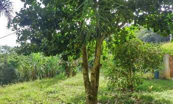 Imagem 5: 1 lindo hectare com casa e sinal de internet fibra ótica instalada apenas