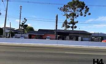 Imagem 7: Terreno comercial em excelente localização no Bairro Jardim Primavera em Piraquara, com 30