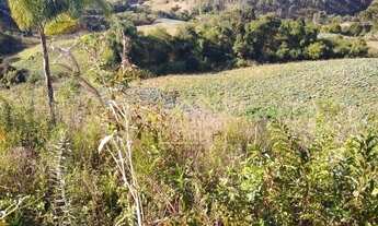 Imagem 4: Sítio com casa 4 dormitórios à venda em Anitápolis SC