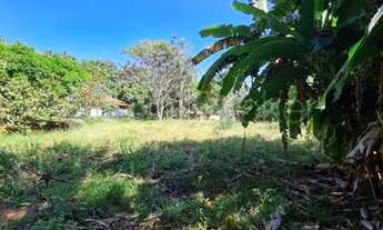 Imagem 6: Fazenda/Sítio/Chácara para venda tem 120 metros quadrados com 2 quartos