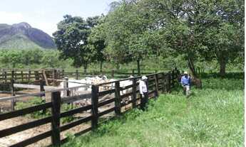 Imagem 3: VENDE Fazenda / sítio com venda por R$40.000.000