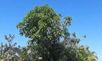 Imagem 7: CASA 3 DORMITÓRIOS COM LOTE INTEIRO NO CIBRATEL EM ITANHAÉM