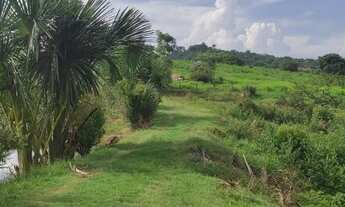 Imagem 2: Terra de 5 alqueires toda aberta! 30 km de Parauapebas! pegar uma casa na negociação?
