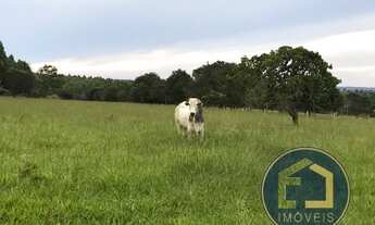 Imagem: FAZENDA - SÃO JOÃO DA ALIANÇA