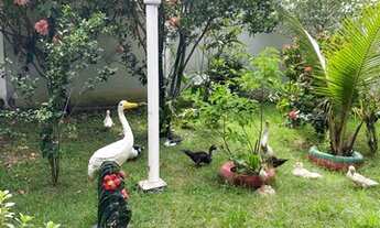 Imagem 4: Fazenda/Sítio/Chácara para venda com 2000 metros quadrados em Parada Angélica - Duque de C