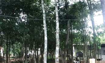 Imagem 2: Chacara vendo urgente aceito troca