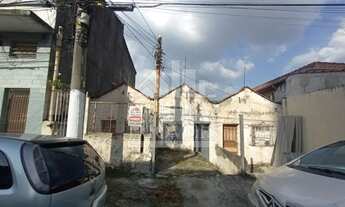 Imagem 2: Terreno a venda - Vila Guilherme, São Paulo