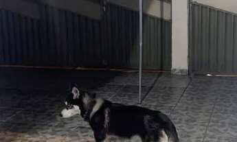 Imagem 3: Alugo casa parque das amendoeiras