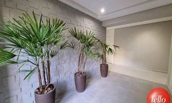 Imagem 2: São Paulo - Apartamento Padrão - Mooca