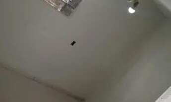 Imagem 4: Aluga-se casa Casa com 2 dormitórios