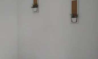 Imagem 7: Aluga- se apartamento