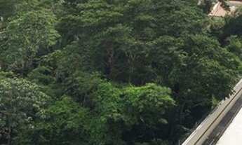 Imagem 4: Vendo apartamento semi mobiliado. Condominio acqua blu residence. ao lado da Alemanha Veic