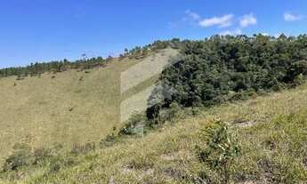 Imagem 7: Vende-se Terreno com 246.000m² em Aracê, Domingos Martins