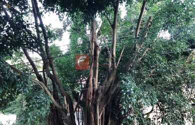 Imagem 6: Apartamento para venda possui 82 metros quadrados com 3 quartos