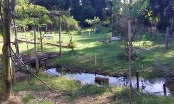 Imagem 4: Chácara à venda - Bairro: Itagaçaba