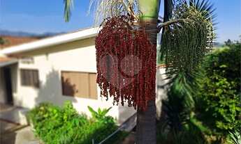 Imagem: Linda casa com 03 dormitórios, área gourmet