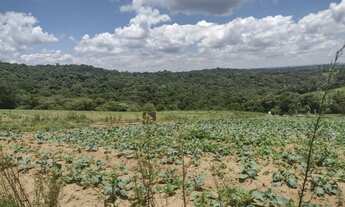 Imagem 3: Lotes de 600m² Terreno / lote com venda por R$45.000