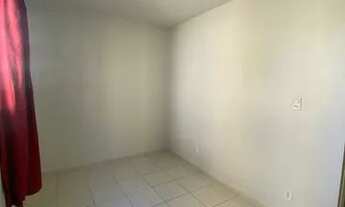 Imagem 4: Paradiso Anturio