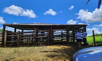 Imagem 2: Vendo fazenda em Ubatã