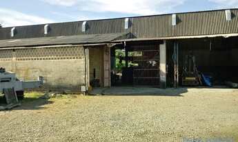 Imagem 5: GALPÃO - ESTIVA - SP