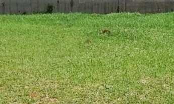 Imagem 2: Terreno em Condomínio para Venda em Sorocaba, Vila Rica