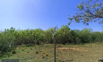 Imagem 4: Área à venda Industrial próxima a Rodovia Santos Dumont - Campinas/SP