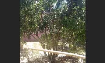 Imagem 3: Chácara com árvores frutíferas e casa aconchegante - 1.260m²