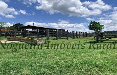 Imagem 4: Fazenda em Itapetininga, rica em água (Nogueira Imóveis Rurais