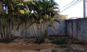 Imagem 2: Lote/Terreno para venda com 450 metros quadrados em Setor Habitacional Vicente Pires - Bra