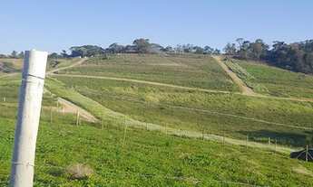 Imagem 4: Lotes de 600m² Terreno / lote com venda por R$45.000