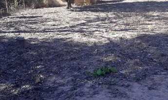 Imagem: Lote 760 metros