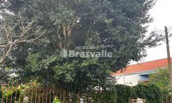 Imagem 3: CASCAVEL - TERRENO PADRÃO - SANTA CRUZ