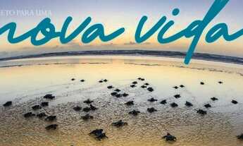 Imagem 7: Lote em Praia do Forte