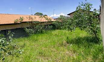 Imagem 6: Terreno plano e murado de 250m2